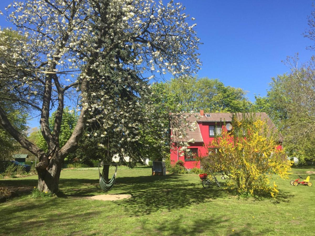 Ferienhaus 1 _ Ferien Im Gutspark Mattchow Εξωτερικό φωτογραφία