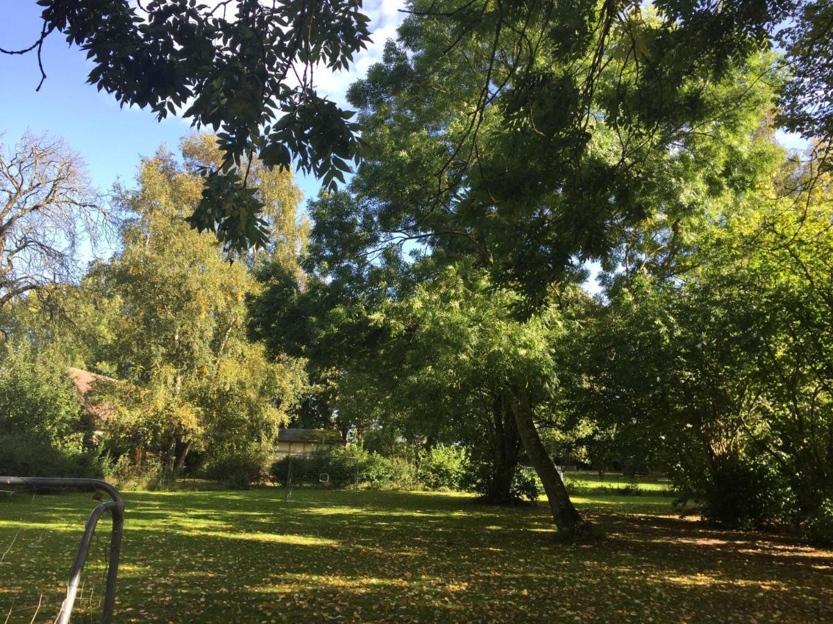 Ferienhaus 1 _ Ferien Im Gutspark Mattchow Εξωτερικό φωτογραφία